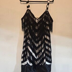 Black and White Striped 20s  STYLE Flapper Dress with Fringe - not an antique